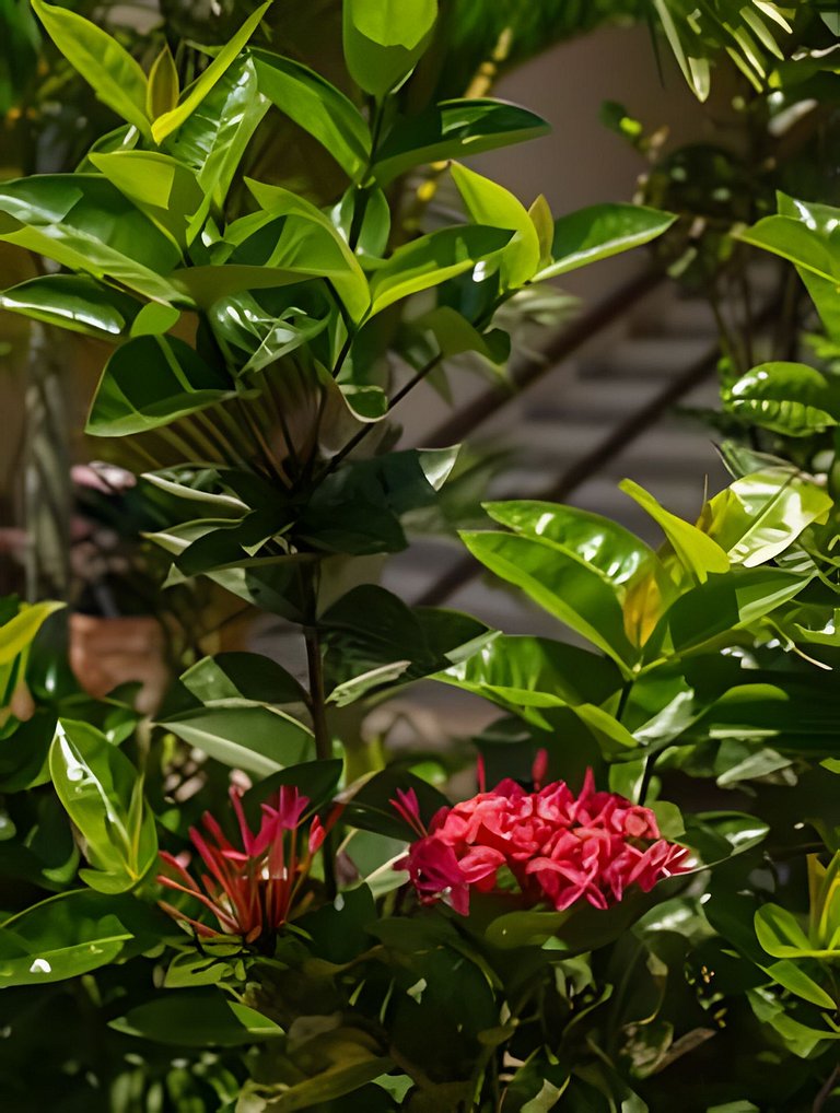 450m PRAIA de Taperapuan; Piscina; 2 quartos; WiFi 300 mbs;