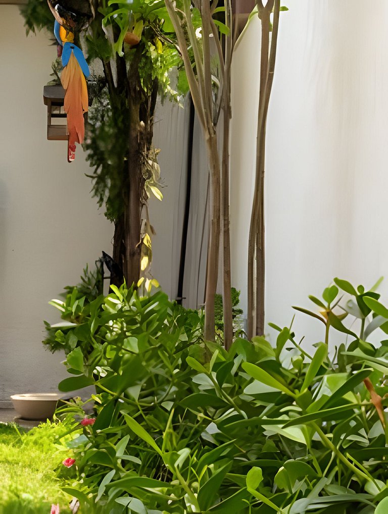 500m PRAIA Taperapuan; 2 quartos; WiFi 300mbs; Churrasqueira